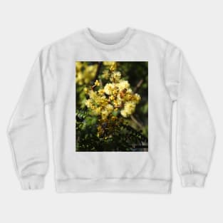 European Honey Bee on Wattle Crewneck Sweatshirt